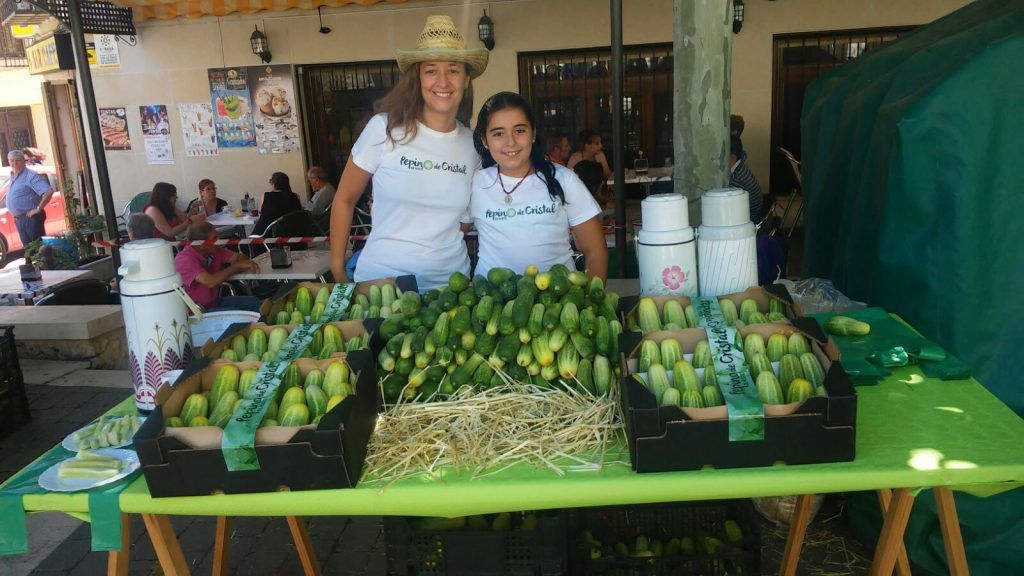 8 feria pepino huete