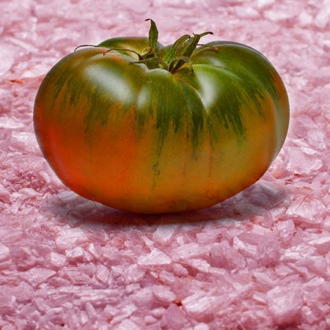 tomate-cristal-calterras
