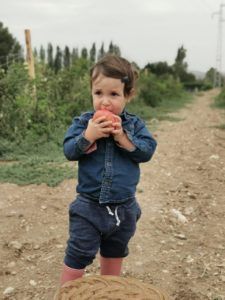 Alimentar al mundo es una gran responsabilidad que exige un minucioso control de los procesos productivos