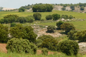 Las aguas de lluvia son recogidas y filtradas en los montes próximos a CALterras.