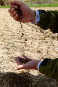 La palabra “terroir” es de origen latino relacionado con la palabra «tierra», sin embargo, los romanos utilizaron la palabra 'genius loci' para indicar un lugar adecuado para la producción de alimentos de calidad excepcional