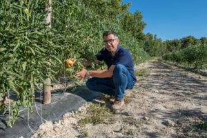 “Cultivar en condiciones abiertas, implica mucho más riesgos, pero lo notaremos en el sabor. La calidad no es una casualidad”